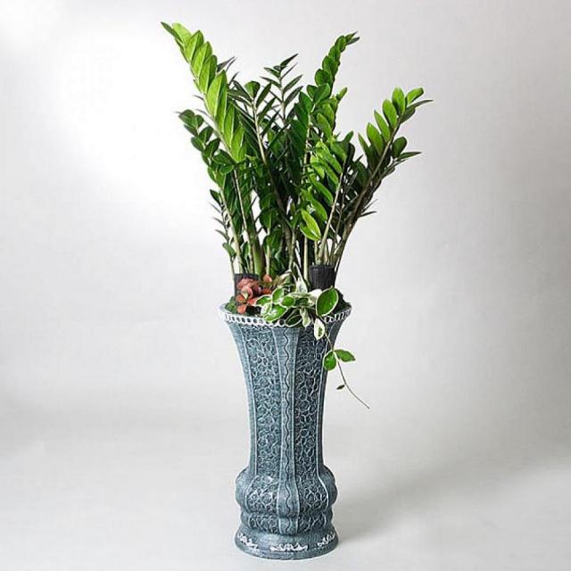 천리마마트 성공 금전수 특급 개업선물 기념일 꽃배달 꽃선물 생화 나무화분