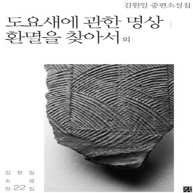 도요새에 관한 명상 환멸을 찾아서 외:김원일 중편소설집, 강