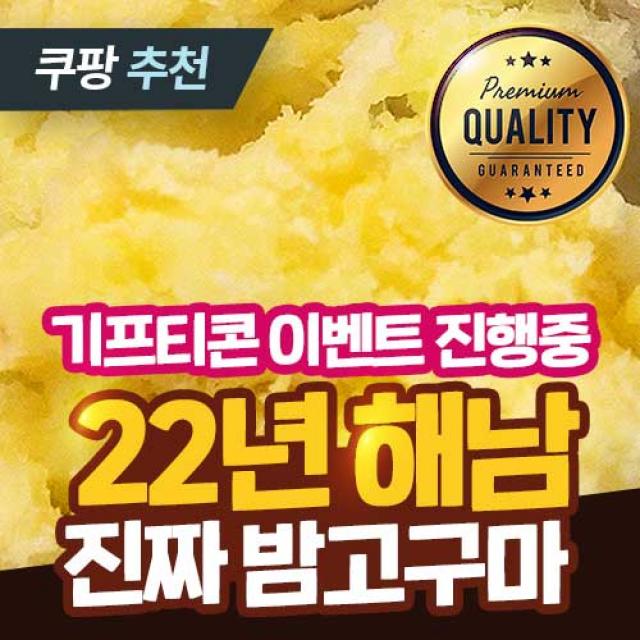 [40년 고구마] 22년 수확 해남 햇 밤고구마 진율미 10kg 5kg 3kg 햇밤고구마