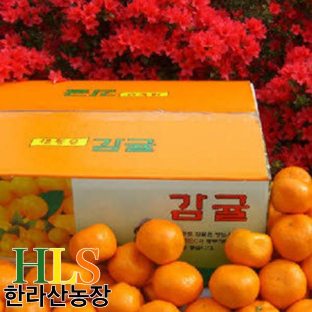 한라산농장 제주 서귀포 감귤 10KG 15kG 5KG 첫수확 홍보용 특가 - 불만족시 무료반품 -