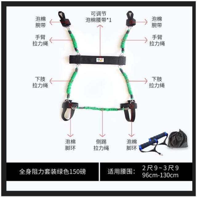스포츠 훈련 밴드 벨트 달리기 태권도 권투 피트니스, 전신 슈트 그린 150 파운드 성인 L 사이즈
