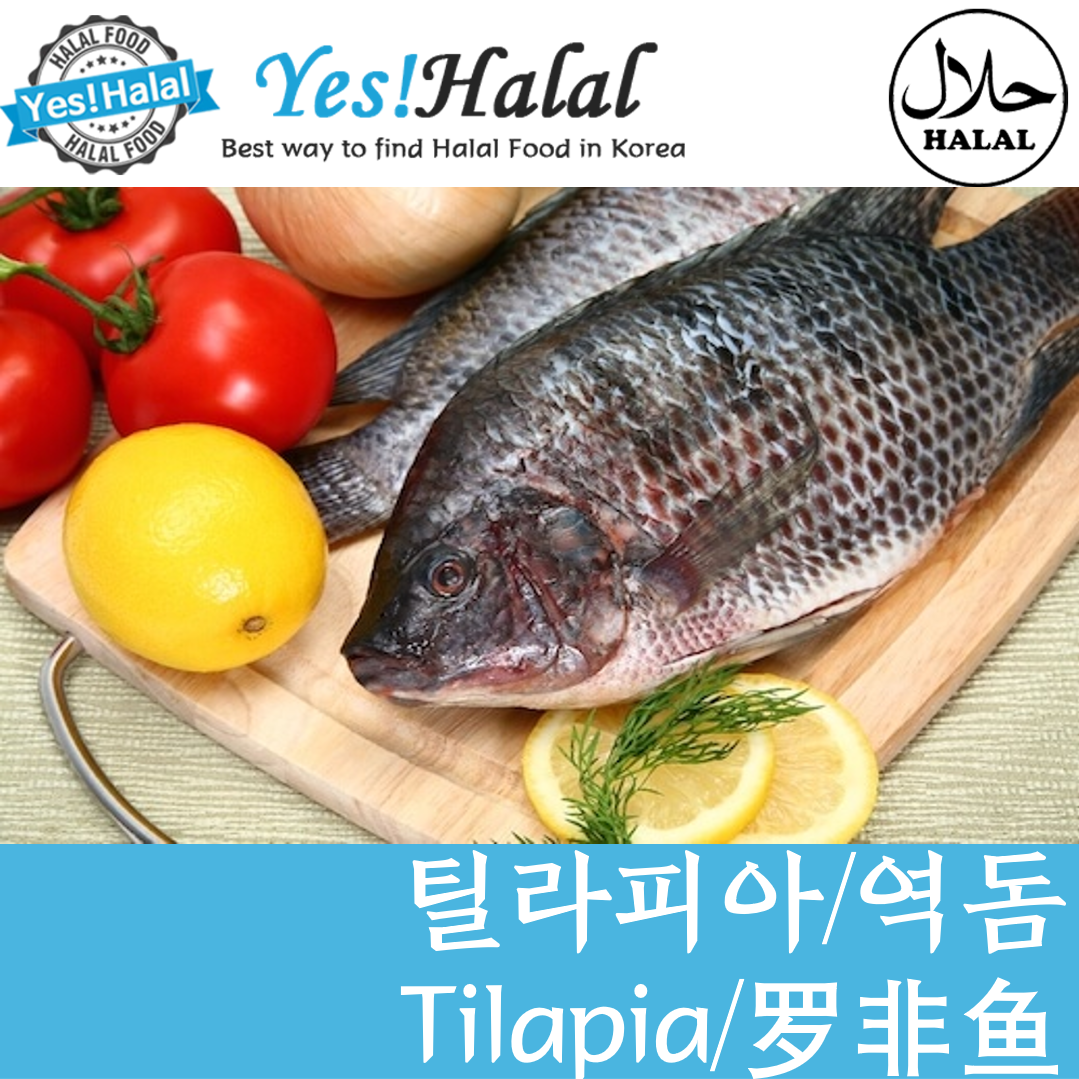 Yes!Global 틸라피아, 역돔, Black Tilapia (2마리, fishes, 900g), 1팩, 900g