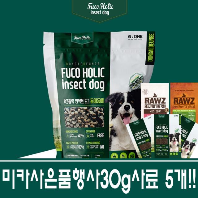 후코홀릭 인섹트도그 2.4kg+미카사은품행사 30g5개(후코홀릭30g3개+기타30g2개)/동애등애