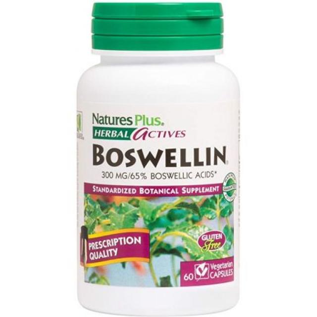 NaturesPlus 허브 능동태 Boswellin - 300 ㎎ 65 % Boswellic 산 60 비건주의 캡슐 - 내츄럴 안티 - 성, One Size, One Color