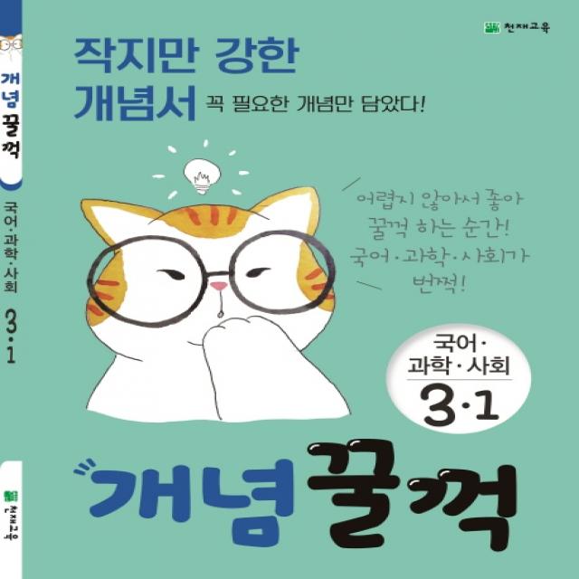 개념꿀꺽 초등 국어 과학 사회 3-1(2020):작지만 강한 개념서, 천재교육