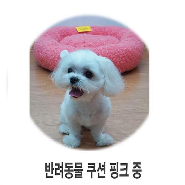 도리파이 반려동물 쿠션 핑크 중 1p 개방석 강아지방석 애견용품 강아지용품 고양이방석 강아지 고양이 방석