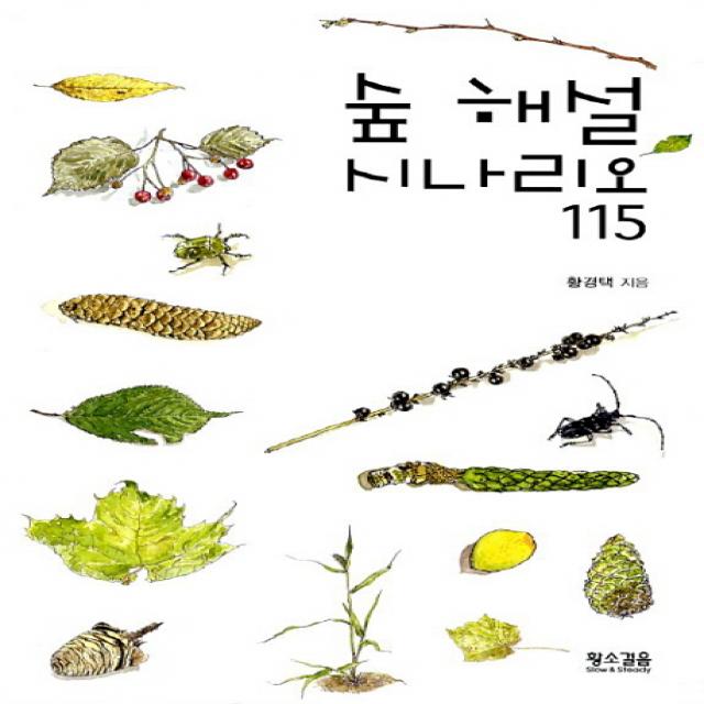 숲 해설 시나리오 115, 황소걸음