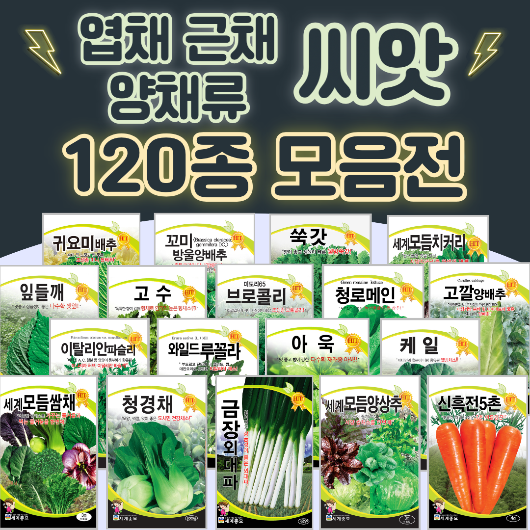 채소씨앗 / 공심채 루꼴라 케일 고수 깻잎 브로콜리 청경채 시금치 치커리 쑥갓 종자, 116. 금장외대파 2000립