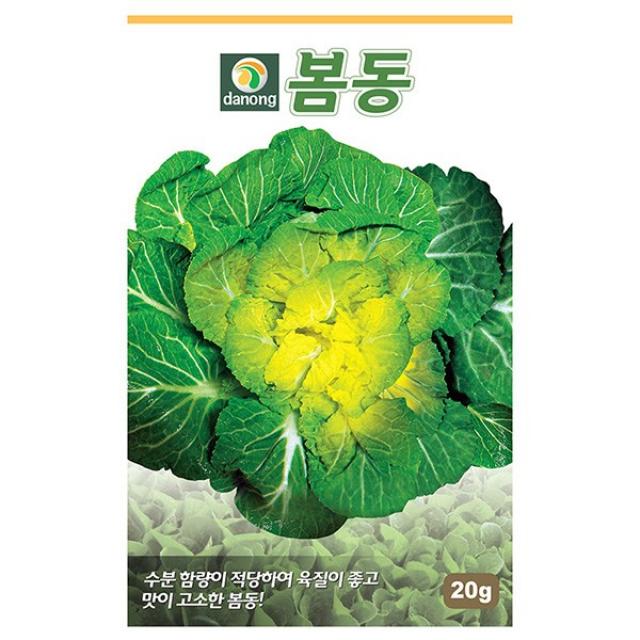 청로메인 상추 씨앗 2000립 - 상추씨앗 상추씨 청치마 쌈채소 야채씨앗 채소씨앗 채소재배 종묘 종자 베란다 텃밭 씨 씨앗, 13_다농_봄동(20g)