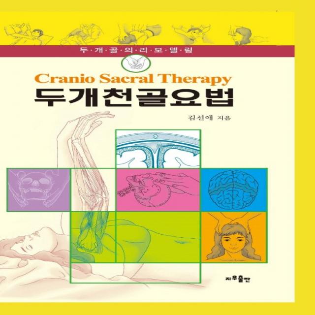 두개천골요법:두개골의 리모델링 지우출판