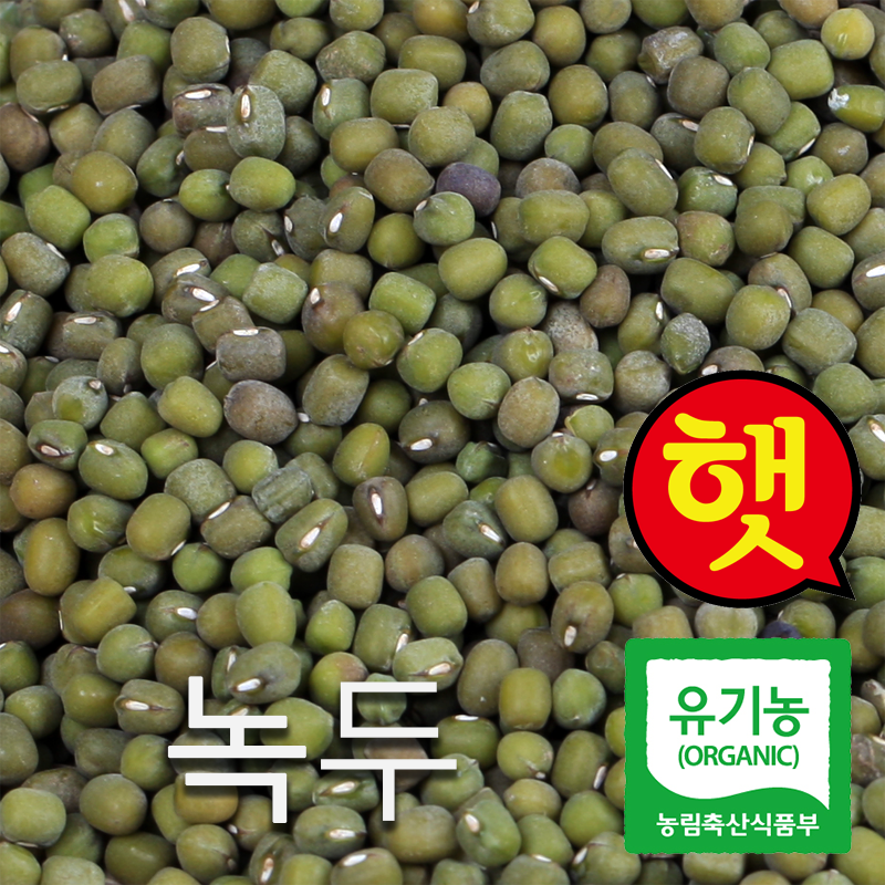 산들바람 2020년산 국산 유기농 녹두 500g, 단일상품