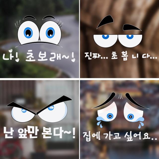 자동차 초보운전 눈동자 UV 데칼스티커 악세사리 용품, L타입