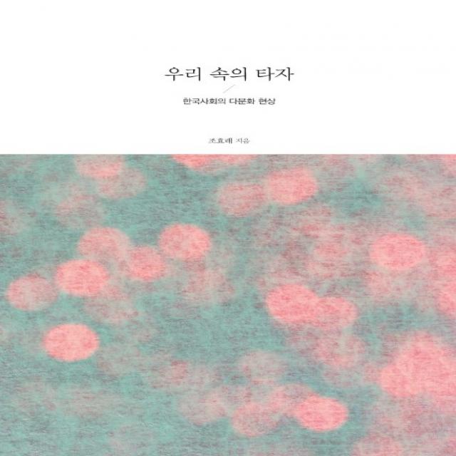 우리 속의 타자:한국사회의 다문화 현상, 한국학술정보