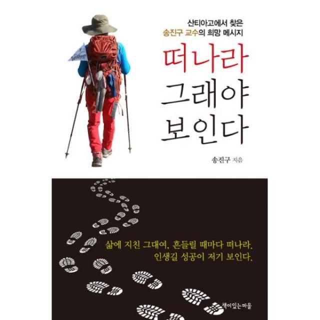 떠나라 그래야 보인다 : 산티아고에서 찾은 송진구 교수의 희망 메시지