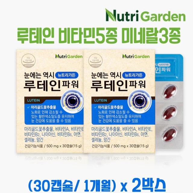 뉴트리가든 루테인파워 루테인 비타민A 마리골드 황반 셀렌 아연 온가족 수험생 눈건강, 2set, 60캡슐(2개월분)