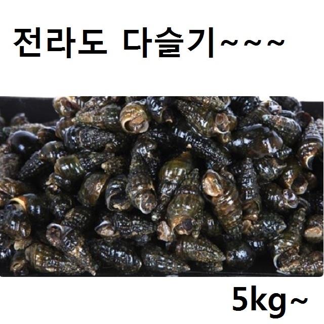 N3571 전라도 생다슬기(삶은다슬기) 5kg 다슬기즙/소라/갯고동/올겡이/올겡이즙, 단일 수량