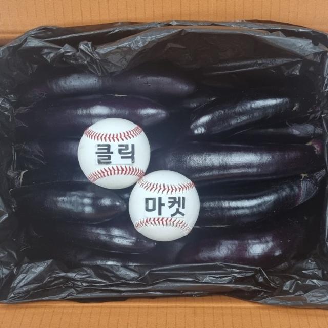 클릭마켓 국내산 가지 2.5kg