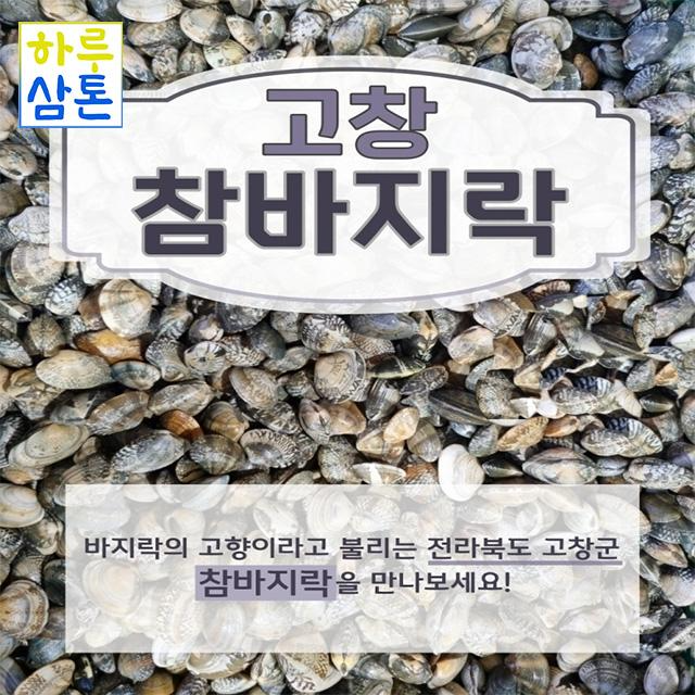 (당일배송 무료배송)고창 참바지락 3kg 5kg (해감완료 쿠팡 도착 예정일 관계없이 주문 시 다음날 도착 입니다.), 참바지락 3kg