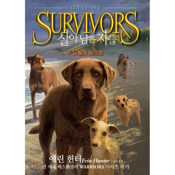 SURVIVORS 살아남은 자들 : 다가오는 어둠 3 : 그림자 속으로, 가람어린이