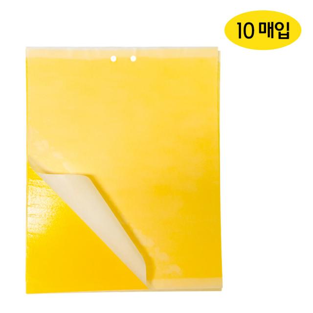 뿌리파리 날파리 초파리 끈끈이 트랩 양면 20매 20cm x 25cm, 끈끈이마스터10매