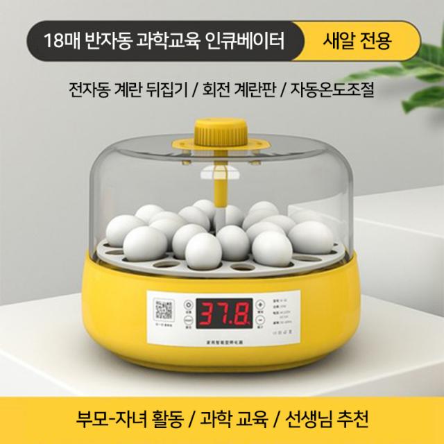 병아리 부화기 부화 키우기 거위알 부하기 계란 인공, 18개 완전자동(루틴닭새알 전용)