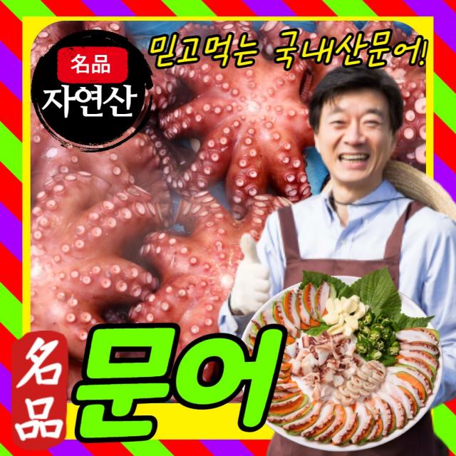 먹사부 [자연산] 통영 돌문어 생물 냉동 통 자숙 다리 슬라이스 숙회 제수용 국내산 500g 1kg 2kg