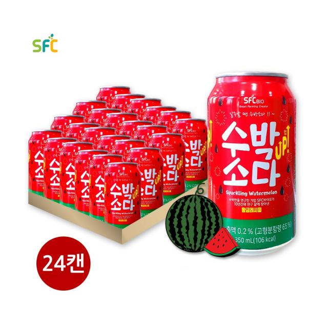 수박소다 1박스 350ml 24캔입 SFC 갈증해소 과즙탄산음료, 단일상품