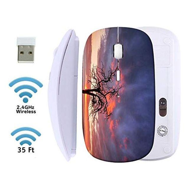[해외직배송][주위-단순변심 불가상품]MSD 무선 마우스 2.4G USB 수신기가 장착 된 검은 색 기본 여행 마우스 노트북 PC 노트북 컴퓨터 용 1000 DPI로 소음없는 자동 클릭 MacBook 이미지 ID 23653201 맹목적인 나무의 실루엣, 본상품선택, MYADAVa3fA _ 나무의 실루엣 _ 207