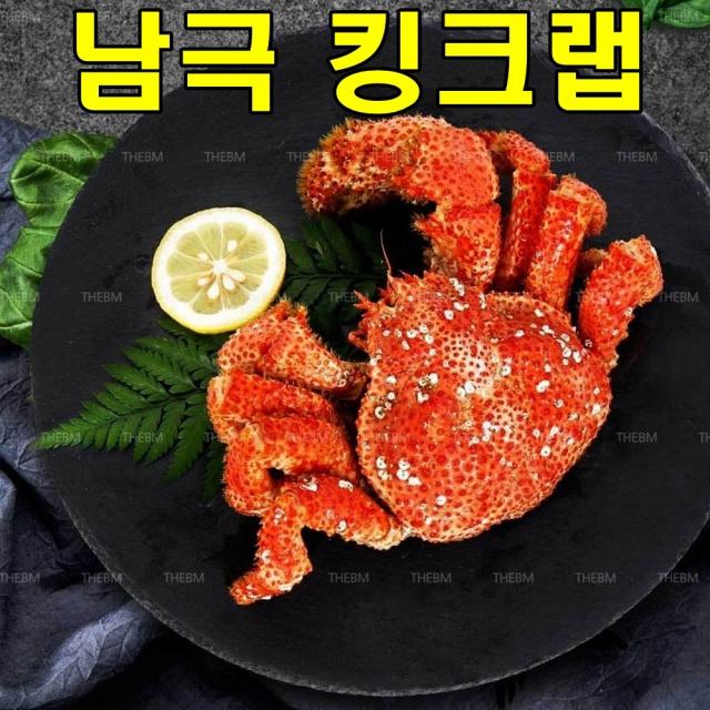 아름다운정성 킹크랩 500g 1kg 프라우스타청정해역 특A급, 1개