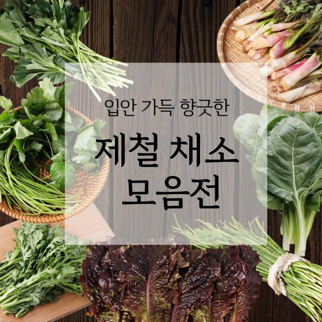 해든팜 최숭영 생산자님의 향긋한 국내산 채소(참나물 상추 부추외3종)골라담기, 근대200g