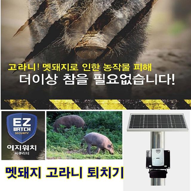 이지워치 멧돼지 퇴치 장비 야생동물 퇴치기 고라니 퇴치장비 센서 자동탐지 불치 호랑이소리 햇빛 농작물 가격 종류 파는곳 선물 시골 텃밭