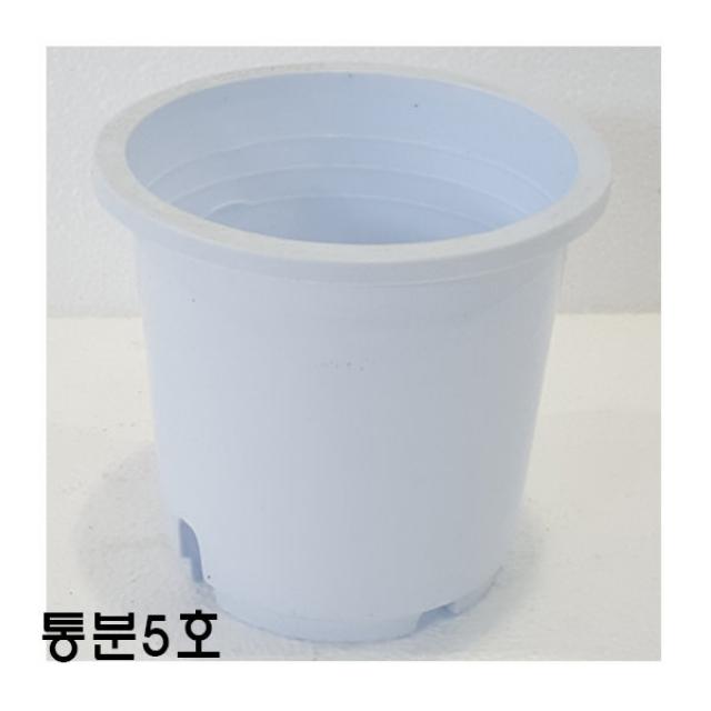 [짱짱마켓] 묶음판매 통분5호 100개 플라스틱화분 분갈이흙 모종