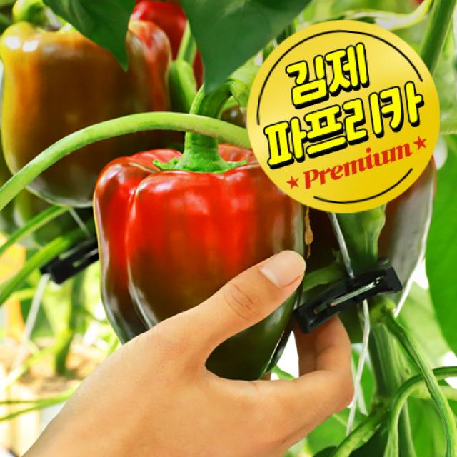 와이즈플러스 스마트팜 청년농부 정품 대왕 파프리카 빨강 1개 290g 3개 870g 5개 1.4kg 10개 2.9kg 20개 5.8kg 25개 7.2kg, 5개(1.4kg이상)