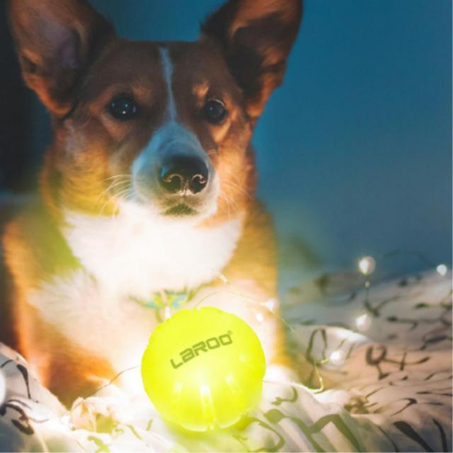 USB충전 불빛 LED 강아지 공장난감 공원놀이 토이푸들 장난감공, 1개