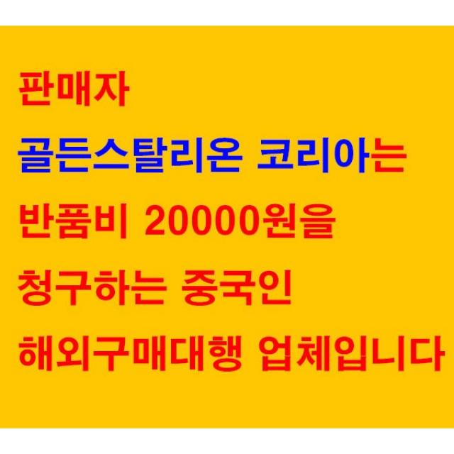 봄빛 빅사이즈 진주 시스루 퍼프 플리츠 A라인 롱 원피스