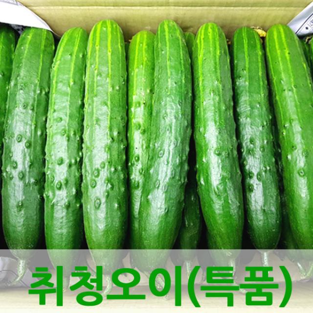 자체브랜드 싱싱한 오이, 오이3kg(특품)