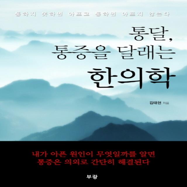 통달 통증을 달래는 한의학:통하지 못하면 아프고 통하면 아프지 않다, 부광