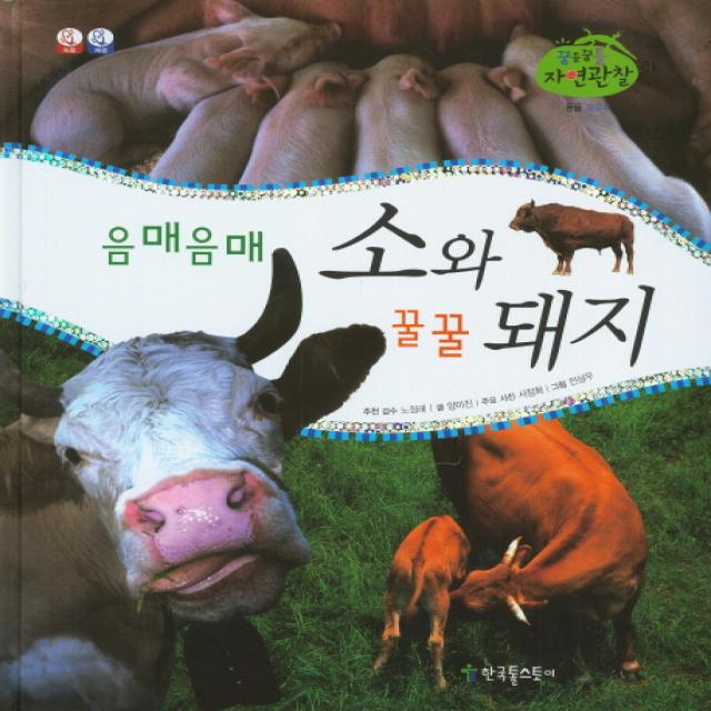 음매음매 소와 꿀꿀 돼지, 한국톨스토이