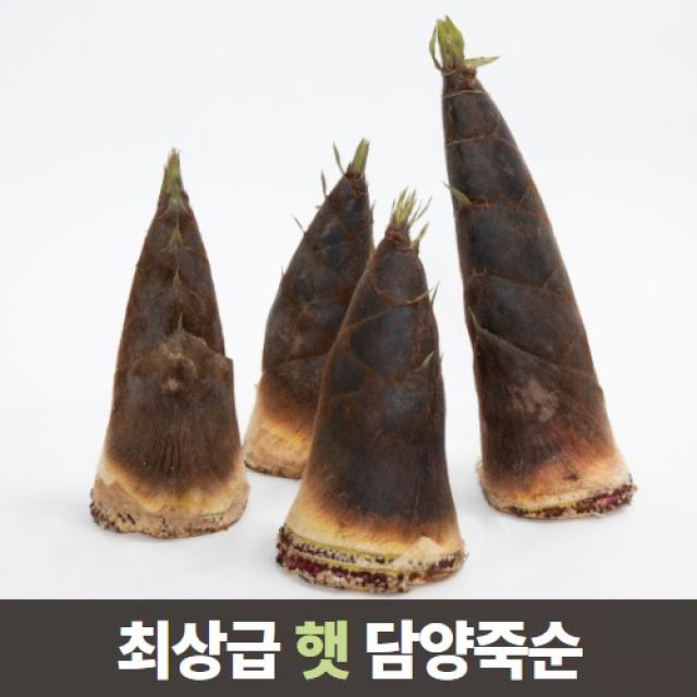 삼시세끼연구소 최상급 담양 삶은 죽순 죽순채 생죽순 맹종죽 5kg 10kg 1.삶은 죽순채 300g