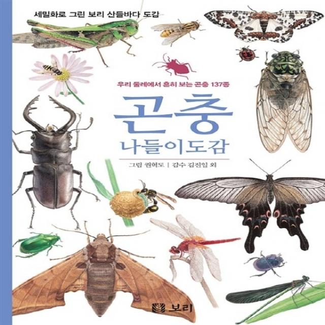 새책-스테이책터 [곤충 나들이도감] 세밀화로 그린 보리 산들바다 도감-우리 둘레에서 흔히 보는 곤충 137종-보리-권혁도 지음, 권혁도 저/김진일 감수, 보리