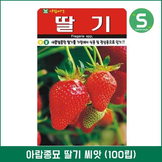 딸기씨앗 100립 딸기 식용 관상용 다년생 전국재배 단품