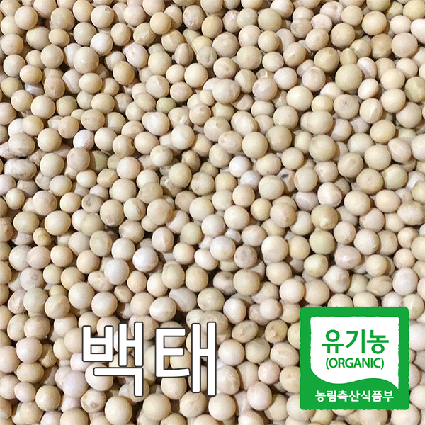 산들바람 2019년산 국내산 유기농 백태 메주콩 1kg, 단일상품