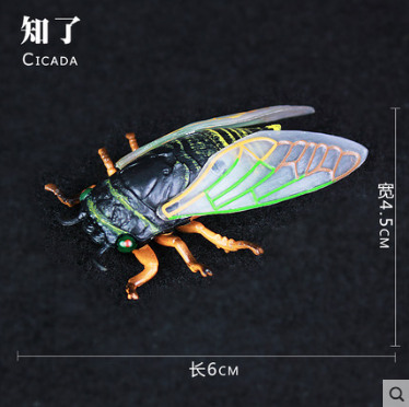 장수풍뎅이 곤충 피규어 입체도감 리얼 박스, 매미