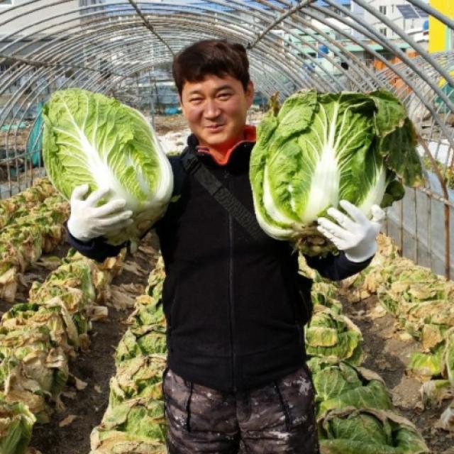 국산 100% HACCP인증 땅끝 해남 절임배추 10kg 오전 10시 이전 주문 당일발송, 11월 08일 (월) 출고 - 09일 (화) 도착
