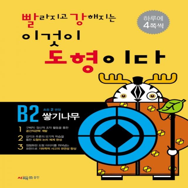 빨라지고 강해지는 이것이 도형이다 B2: 쌓기나무, 시매쓰