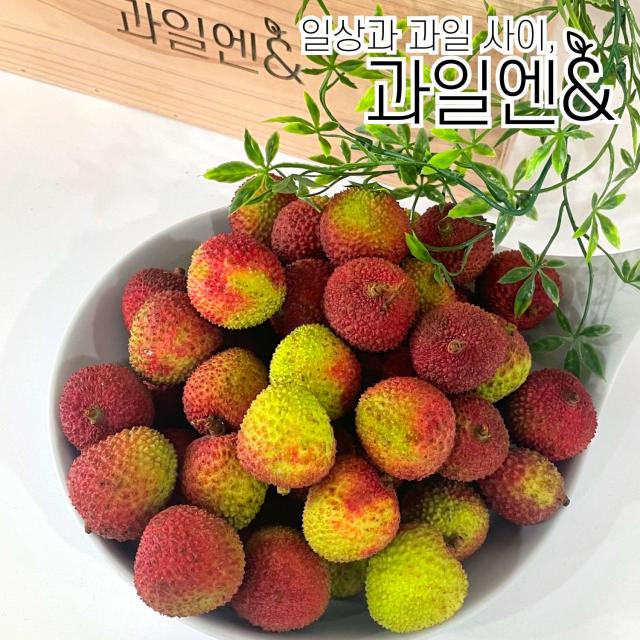 과일엔 달콤한 열대과일 생리치, 1kg (40~50과)