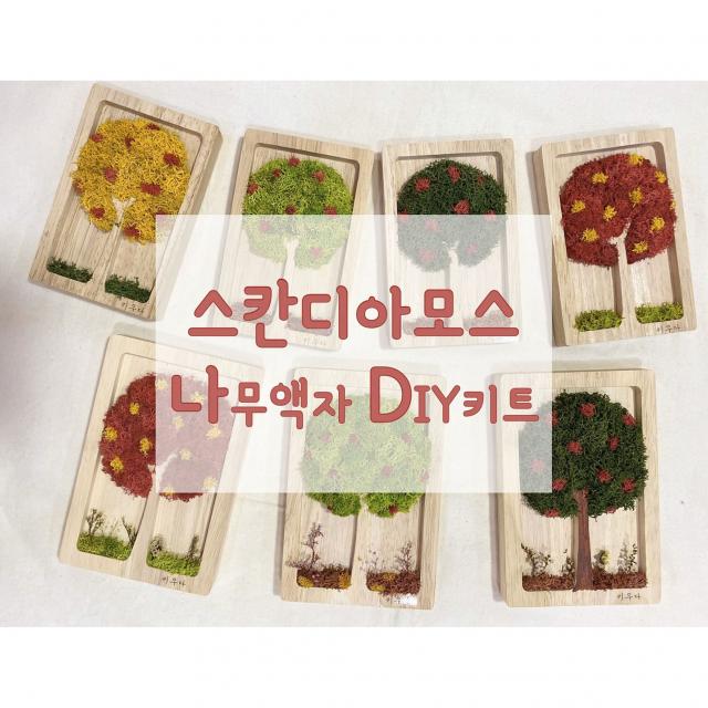 [키우다] 언제 어디서나 만드는 스칸디아모스 나무액자 만들기 DIY 키트, 스프링그린