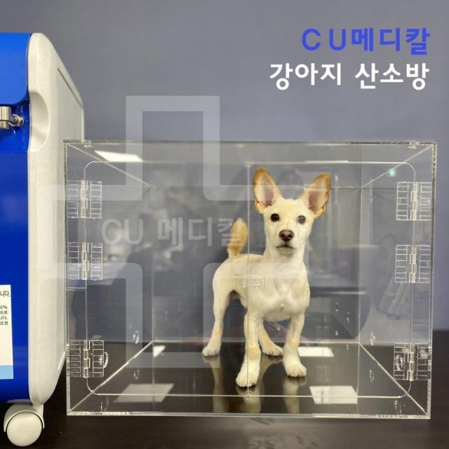  Cu메디칼 임대 강아지 산소발생기 + 아크릴산소방 반려동물 전용 산소마스크 무상임대 단기요금제 상담후 결재요망 