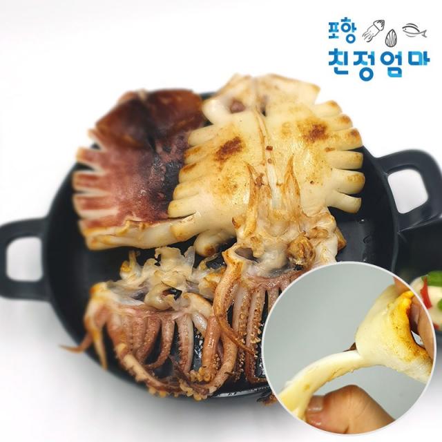 포항친정엄마 당일바리 반건조오징어 국산 버터증정, 600g내외, 5마리