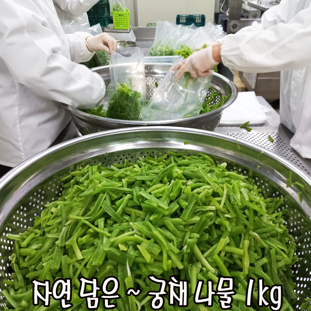 씨푸드코리아 자연담은 궁채나물, 궁채나물 1kg